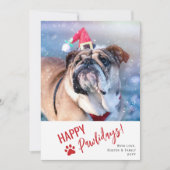 Modern Script Foto Huisdier Fijne Pawlidays Feestdagenkaart (Voorkant)