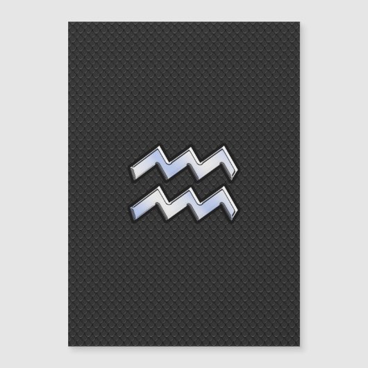 Modern Silver Aquarius Zodiac Sign on Snake (Voorkant)