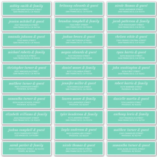 Modern Simple Chic Wedding Guest Names Address Sticker (Voorkant)