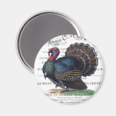 modern Turkije Magneet (Voorkant / Achterkant)