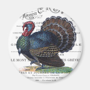 modern  Turkije Magneet