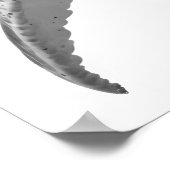 Modern Walvis Portret zwart wit Poster (Hoek)