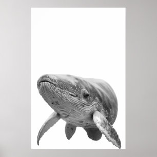 Modern Walvis Portret zwart wit Poster