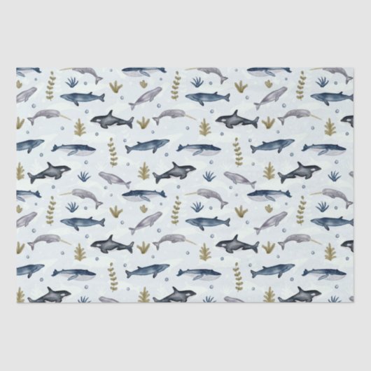 Modern walvisverhaal van de waterverf tissuepapier (Voorkant)