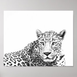 Moderne 10x8-inch zwarte en witte jaguar poster