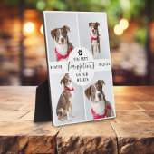 Moderne 4 foto-collage | Huisdier verlies hond/kat Fotoplaat