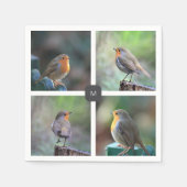 Moderne 4 roodborstfoto's monogrammed servet (Voorkant)