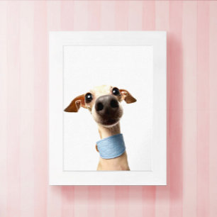 Moderne aangepaste huisdierfoto Meeko Poster