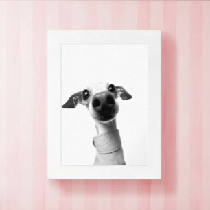Moderne aangepaste huisdierfoto Meeko Poster