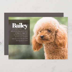 Moderne Aangepaste Puppy Dog Foto Birthday Uitnodi Kaart
