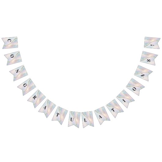 Moderne Abstracte Iridescente Slagflag Vlaggetjes (Alle)