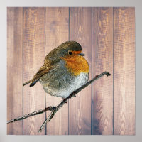 Moderne abstracte Robin-vogel op bijtende schuur