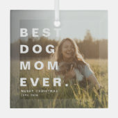 Moderne BESTE HOND MOEDER OOIT Custom Foto Glas Ornament (Voorkant)
