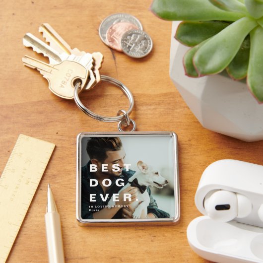 Moderne Beste Hond Ooit Foto Keepsake Sleutelhanger (Bureau)
