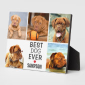 Moderne beste hond ooit fotocollage | Pet Fotoplaat (Zijkant)