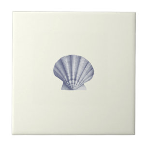Moderne  Blue Zee Shell op Ivoor Tegeltje
