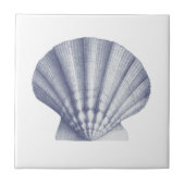 Moderne  Blue Zee Shell Tegeltje (Voorkant)