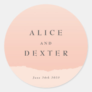 Moderne Blush Wedding Classic Round Sticker