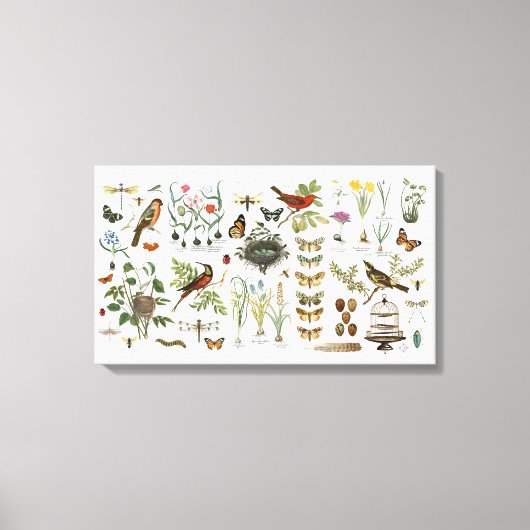 moderne  botanische vogels en bloemen canvas afdruk (Voorkant)