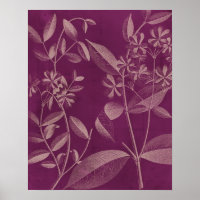 Moderne botany III
