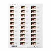 Moderne bruiloft foto Elegant Simple Address Etiket (Full Sheet)