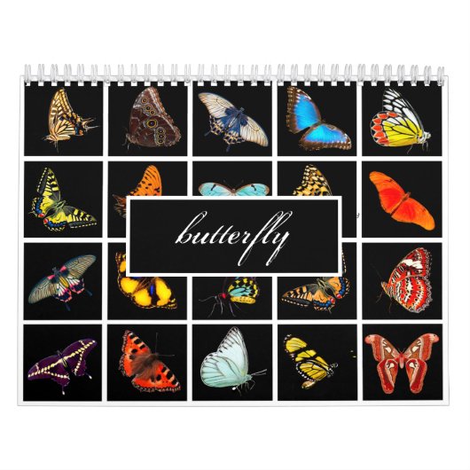 Moderne Butterfly-fotografie Kalender (Hoes)