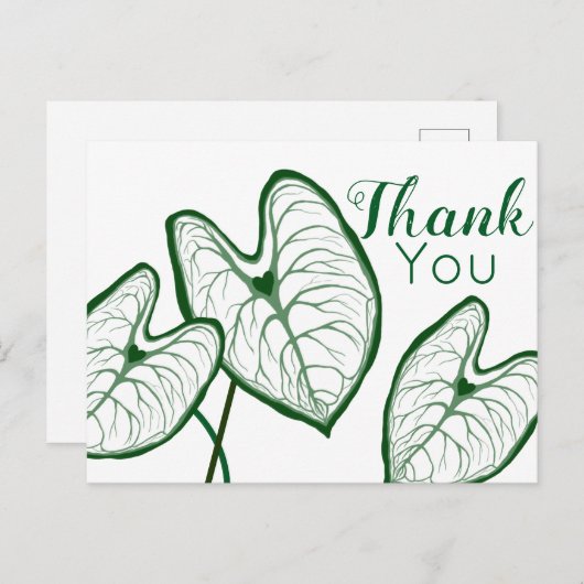 Moderne Caladiumplanten Bedankt Briefkaart (Voorkant / Achterkant)