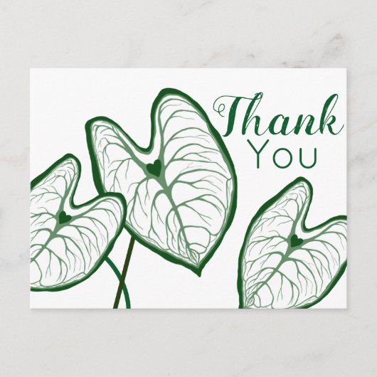Moderne Caladiumplanten Dank U Briefkaart (Voorkant)