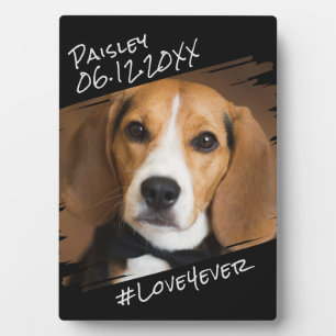 Moderne Chic Elegante Eenvoudige Zwarte Hond Aande Fotoplaat
