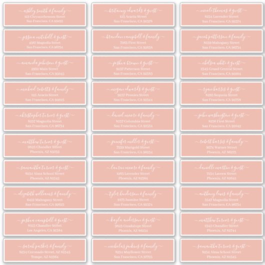 Moderne Chic Script Trouwgast Namen Adres Sticker (Voorkant)