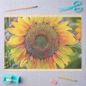 Moderne Collectie voor kunstbloemen Tissuepapier (Craft)