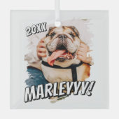 Moderne Comic Simple Grunge Custom Pet Photo Glas Ornament (Voorkant)