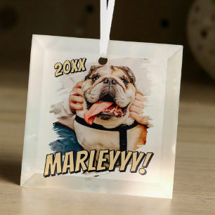 Moderne Comic Simple Grunge Custom Pet Photo Glas Ornament