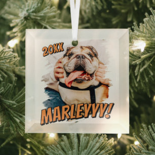 Moderne Comic Simple Grunge Custom Pet Photo Glas Ornament