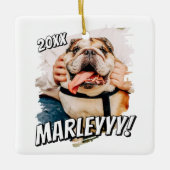 Moderne Comic Simple Grunge Custom Pet Photo Keramisch Ornament (Voorkant)