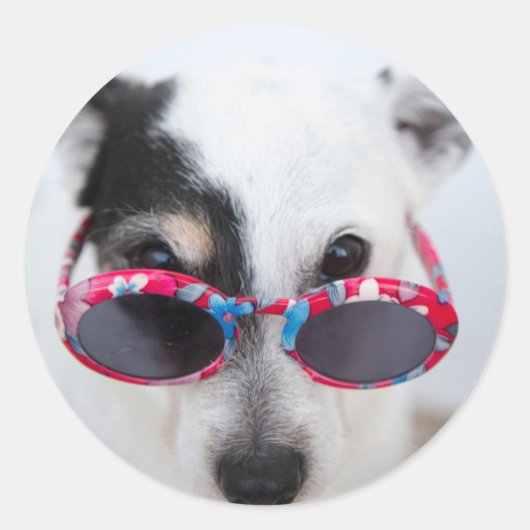 Moderne Creëer Uw Eigen Aangepaste Foto Ronde Sticker (Voorkant)