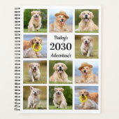 Moderne Créez votre propre animal de compagnie Chi (Devant)