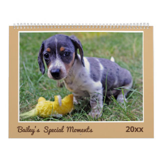 Moderne Cute Dachshund Aangepaste Huisdierfoto's Kalender