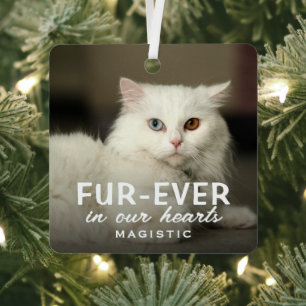 Moderne Cute Foto Kat Herinnering Aandenken Metalen Ornament