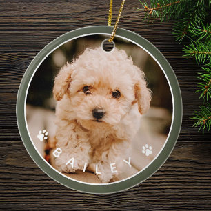 Moderne Cute Paws Familiehuisdier Foto Keramisch Ornament