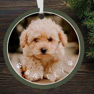 Moderne Cute Paws Familiehuisdier Foto Metalen Ornament