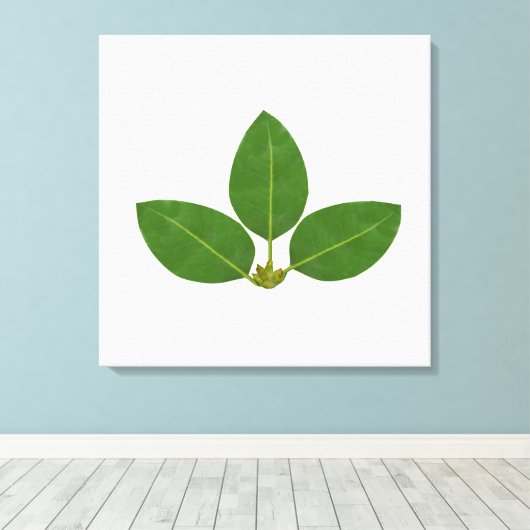 Moderne drie groene baai bladeren canvas afdruk (Insitu (Houten vloer))