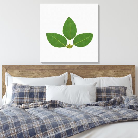 Moderne drie groene baai bladeren canvas afdruk (Insitu (Slaapkamer))