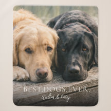 Moderne Eenvoudige Beste Honden Ooit Huisdier Foto