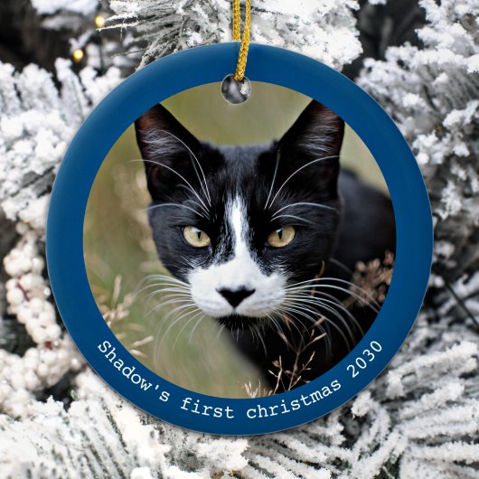 Moderne Eenvoudige Gepersonaliseerde Pet Cat Foto Keramisch Ornament