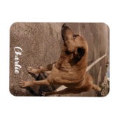 Moderne eenvoudige huisdier foto magneet (Horizontaal)