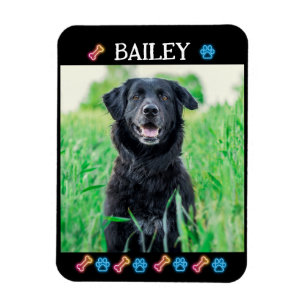 Moderne Eenvoudige Huisdier Naam en Foto Magneet