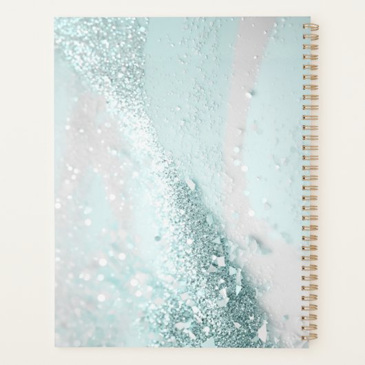 Moderne, élégant, parties scintillant, menthe (Dos)