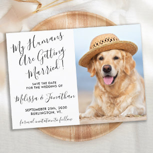Moderne Elegante Trouwfoto Persoonlijke Hond Save The Date