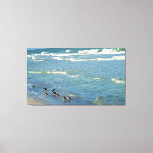 Moderne Florida Shorebirds Ocean Foto Canvas Afdruk